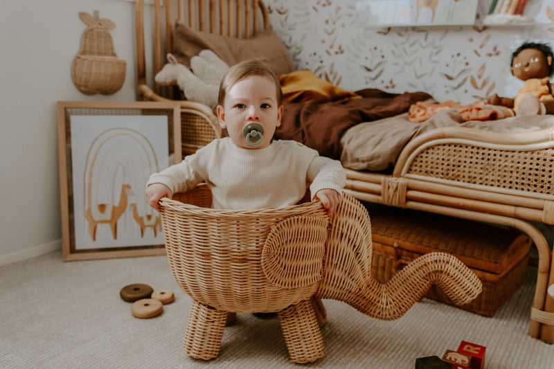 Emily the Elephant | Raja Homewares | Kids Toy Storage Basket